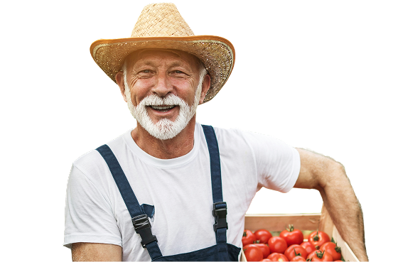 Rolnik z pomidorami